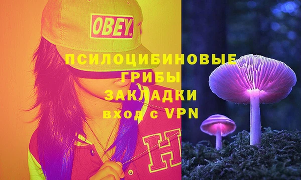 МДПВ Белокуриха