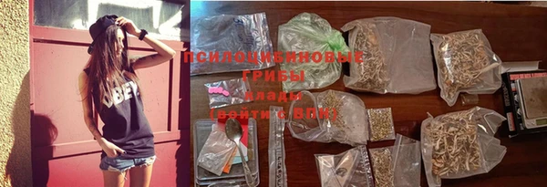 ГАЛЛЮЦИНОГЕННЫЕ ГРИБЫ Белоозёрский