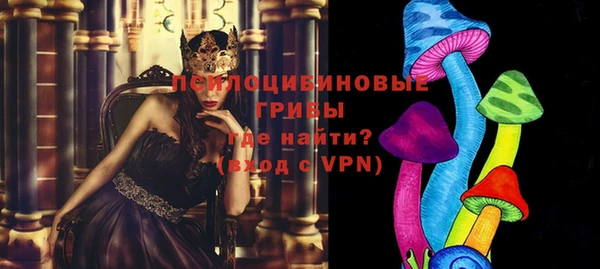 ГАЛЛЮЦИНОГЕННЫЕ ГРИБЫ Белоозёрский