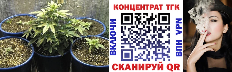 гидра ONION  купить наркотики сайты  Пересвет  Дистиллят ТГК гашишное масло 